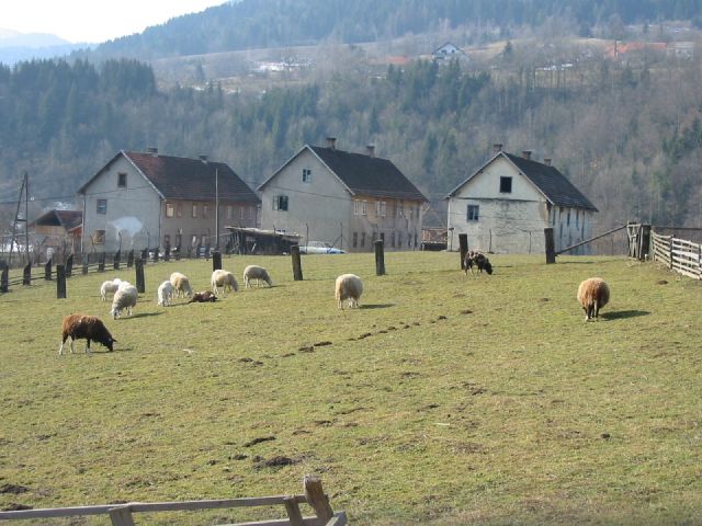 Bršadin, veljača 2004., - Još je bilo spasa za "Treću damu"