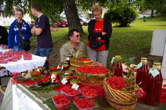 Festival malina u Skradu