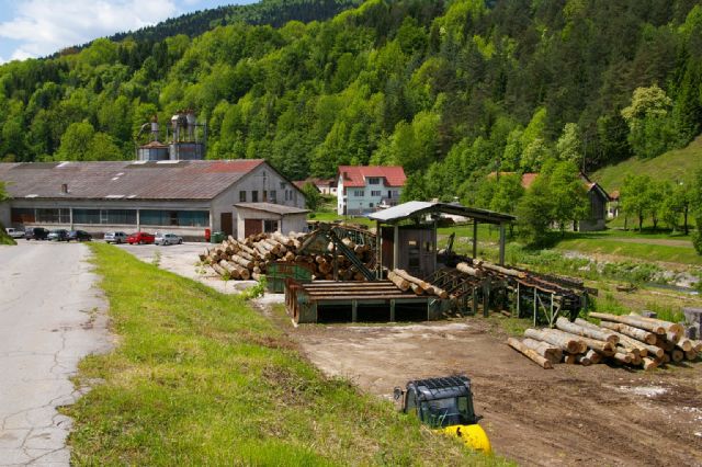 Pilana u vlasništvu Cedra