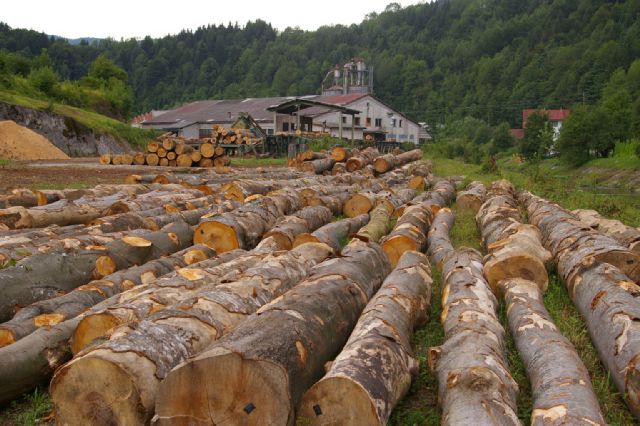 SDSS: U Gradu i pilani se zapošljavalo po članstvu i simpatizerstvu
