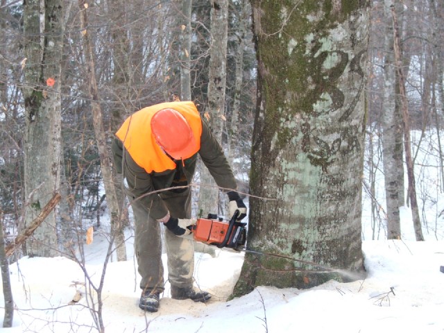 Traže se i sjekači