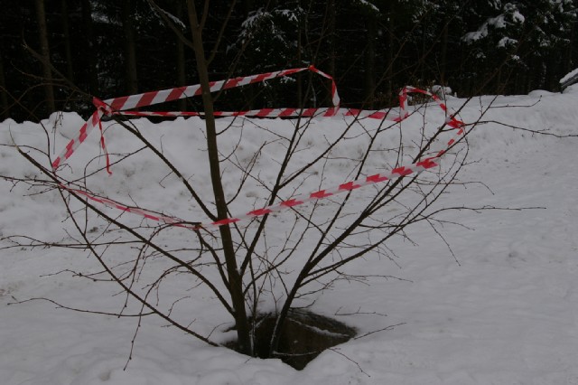 Ukrašeni grm za zaštitu od upada u šahtu