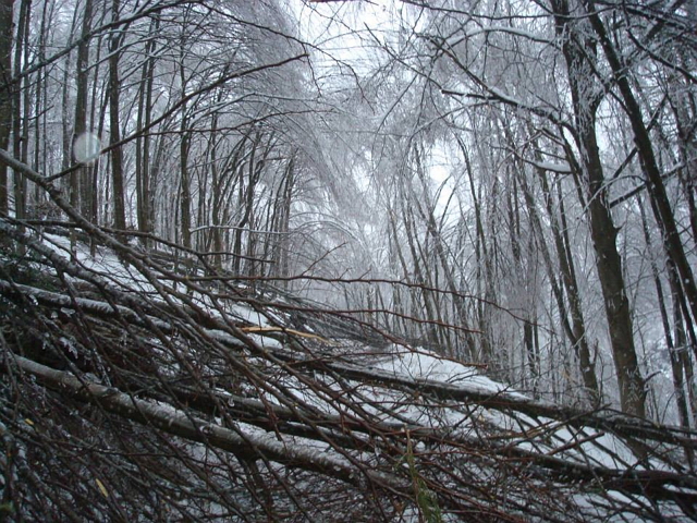 Put za Brezovu poljanu