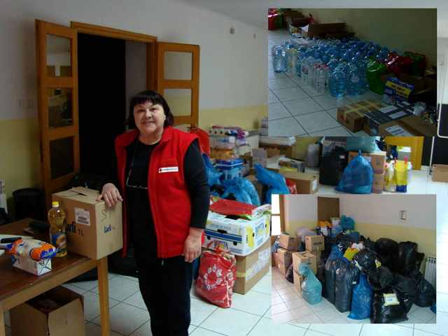 Vesna Mitrović, ravnateljica Gradskog društva Crvenog križa s dijlom prikupljenih donacija