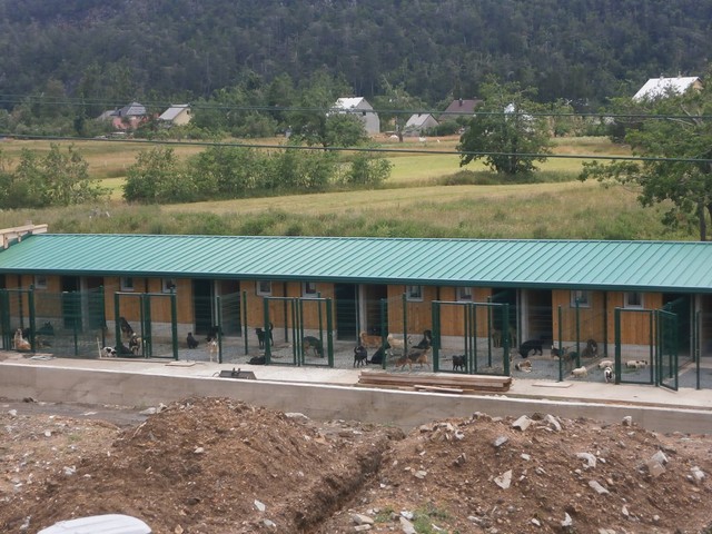 Pogled na nove boksove za pse