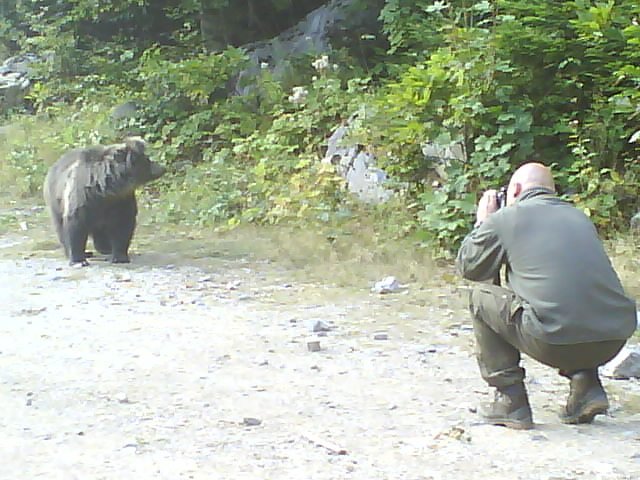Paul Jedriško u foto lovu