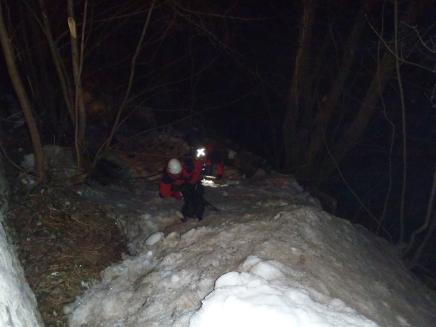 tn_large_1424197410-p2170087