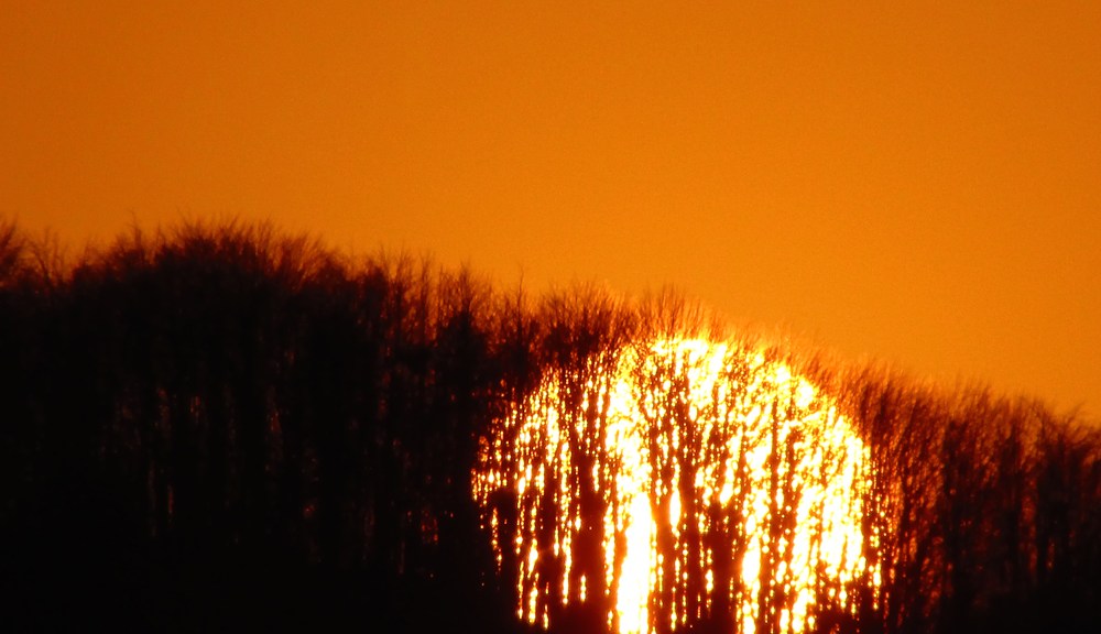 Zlato za Sunčevo zlato Natalije Dokmanović