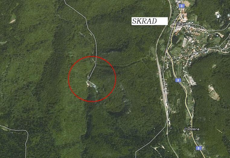 zeleni vrazji google