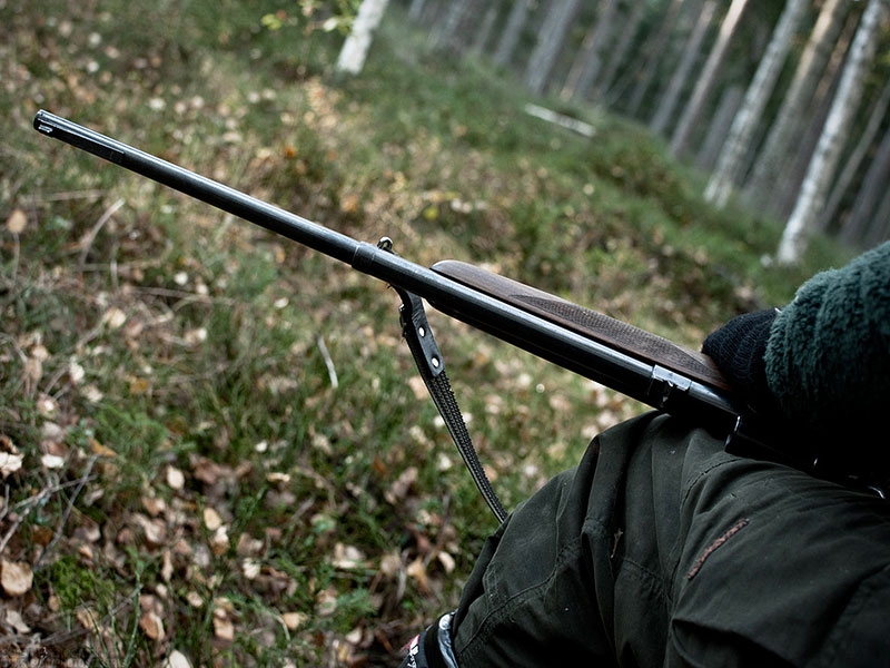 800x600_lovocuvar-Flickr