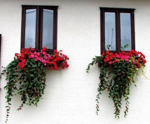 Najljepše pročelje kuće - Obitelj Komadina