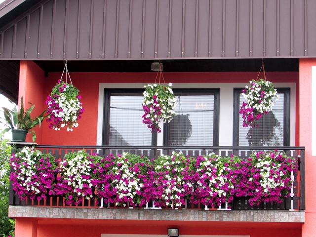 Najljepši balkon - Obitelj Jurković