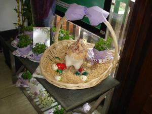 Posebne pohvale - Ljekarna Prima Pharma