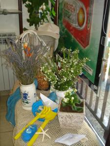 Posebne pohvale - Ljekarna Prima Pharma