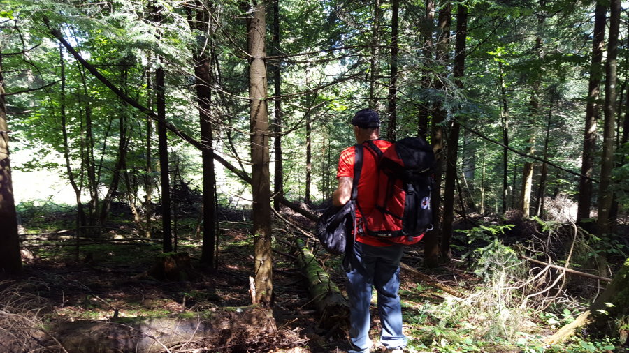 tn_large_1471876216-20160822_120139