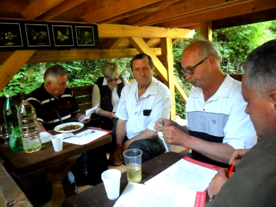 Stručni ocjenjivački sud