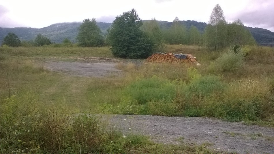 WP_20170812_13_24_31_Pro