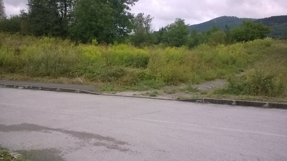 WP_20170812_13_24_48_Pro