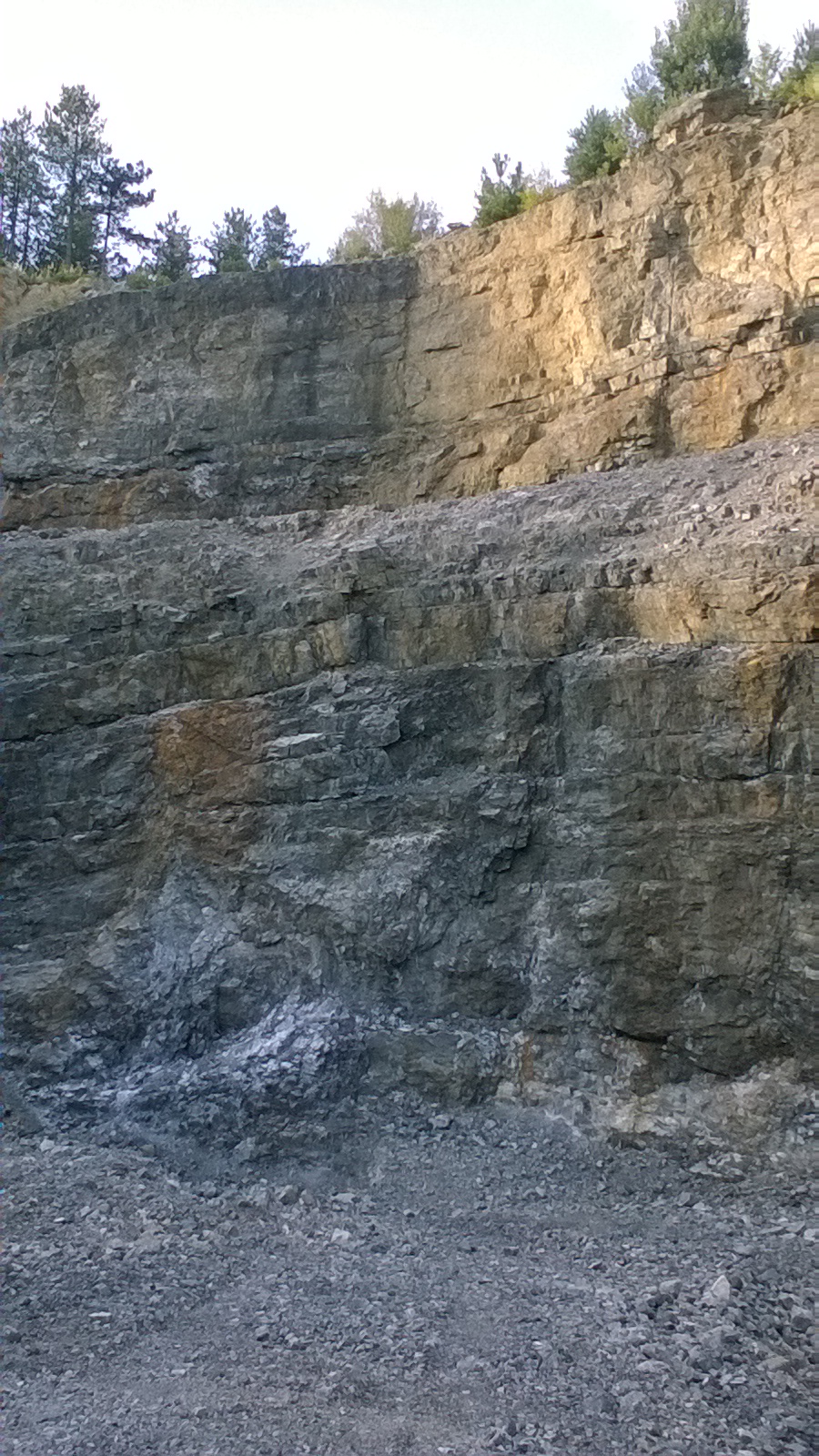 WP_20170825_17_30_36_Pro