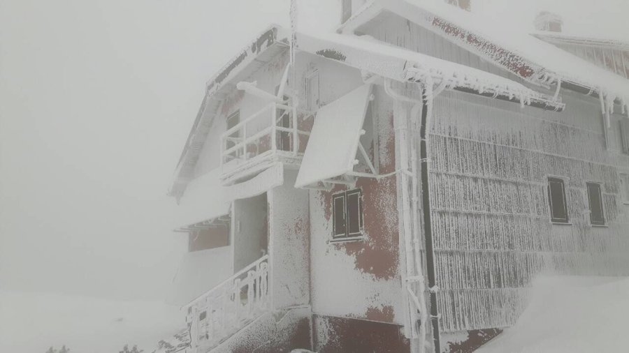 tn_large_1519053794-risnjak7