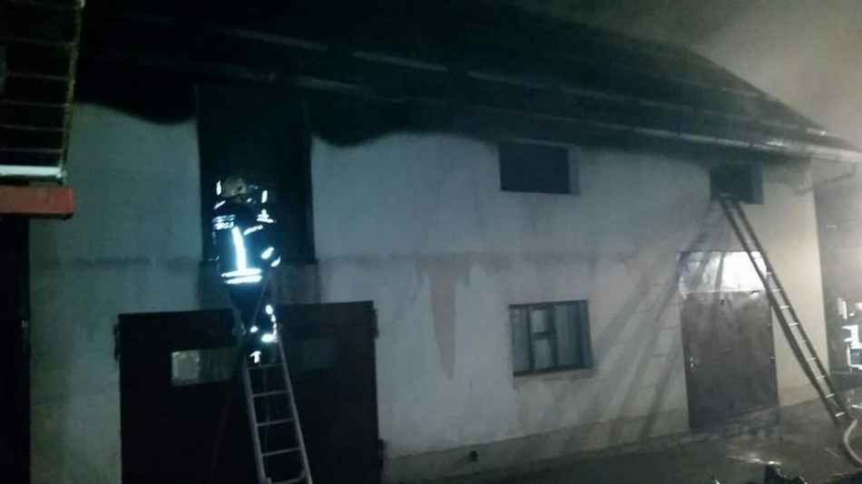 46742228_2264554900458775_5691825818985037824_n